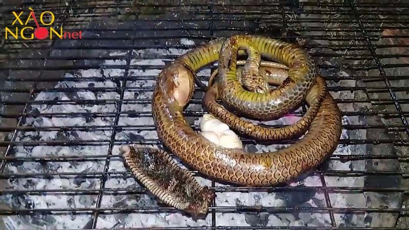 ăn thịt rắn có xui không